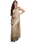 Golden Net Saree