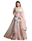 Pink Floral Blouse Lehenga
