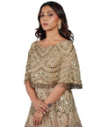 Light Brown Full Work Gown