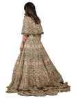 Light Brown Full Work Gown