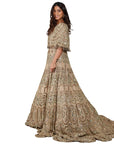 Light Brown Full Work Gown