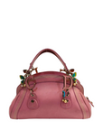 Dior Pink Leather Small Limited Edition Butterfly Detective Satchel Bag