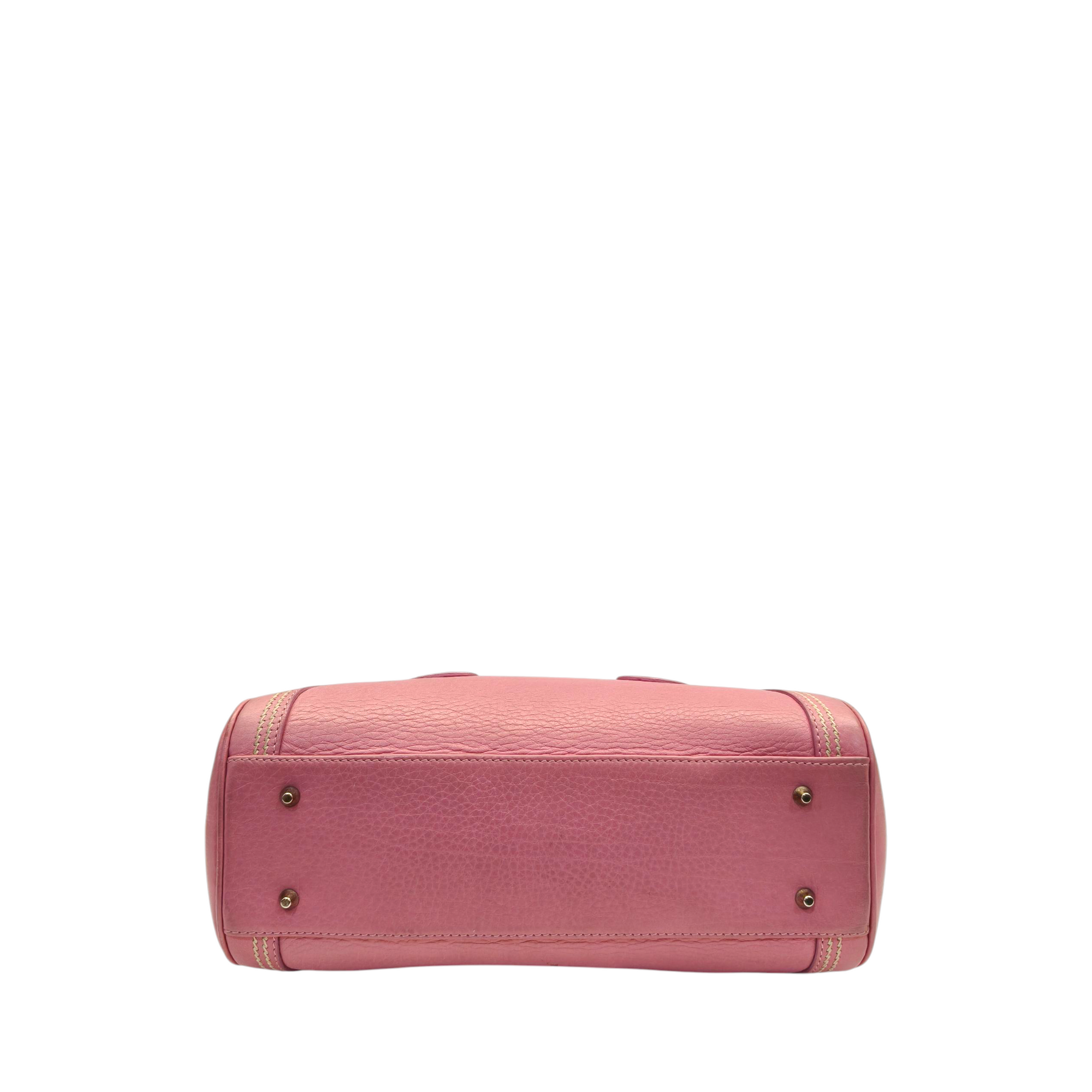 Dior Pink Leather Small Limited Edition Butterfly Detective Satchel Bag