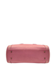 Dior Pink Leather Small Limited Edition Butterfly Detective Satchel Bag