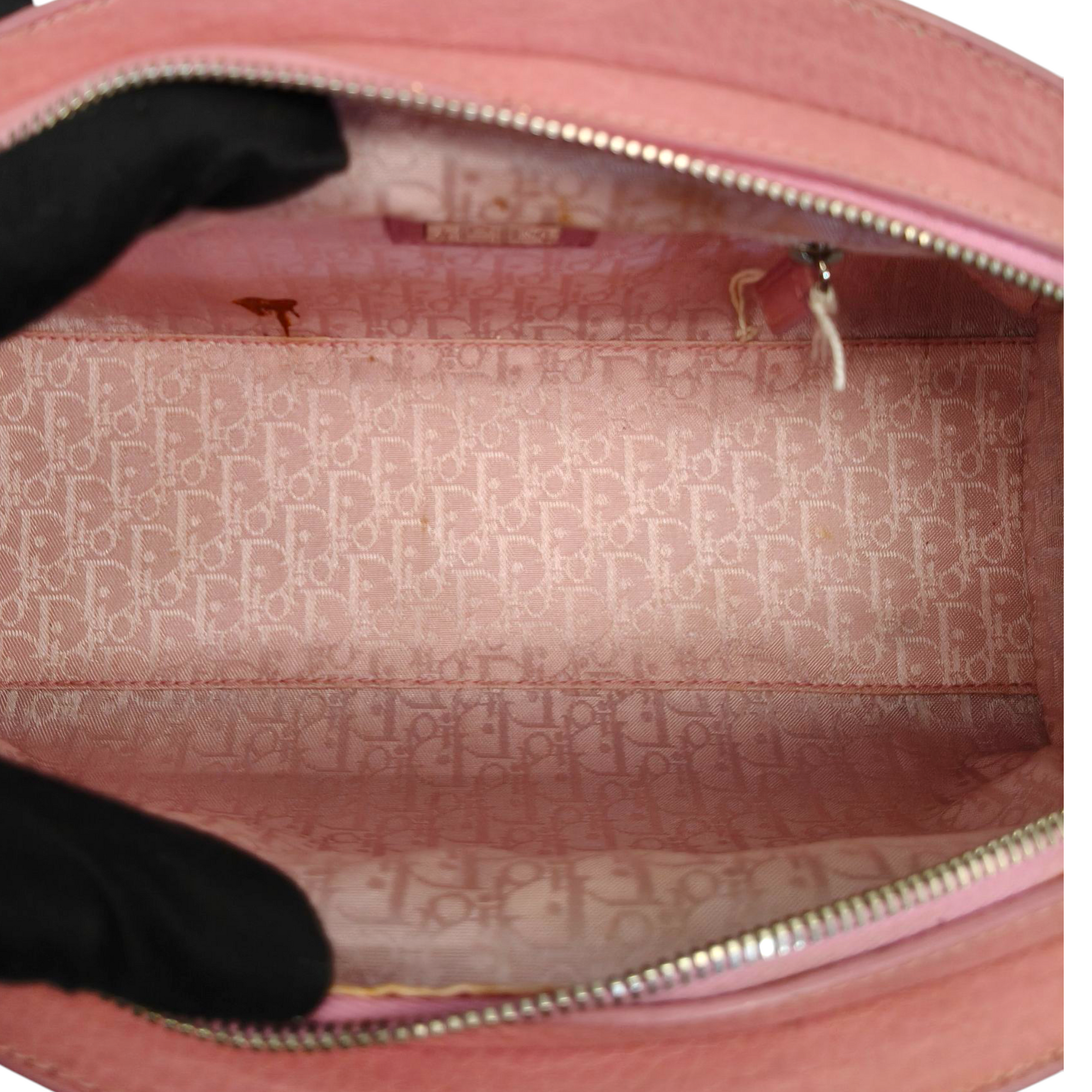 Dior Pink Leather Small Limited Edition Butterfly Detective Satchel Bag