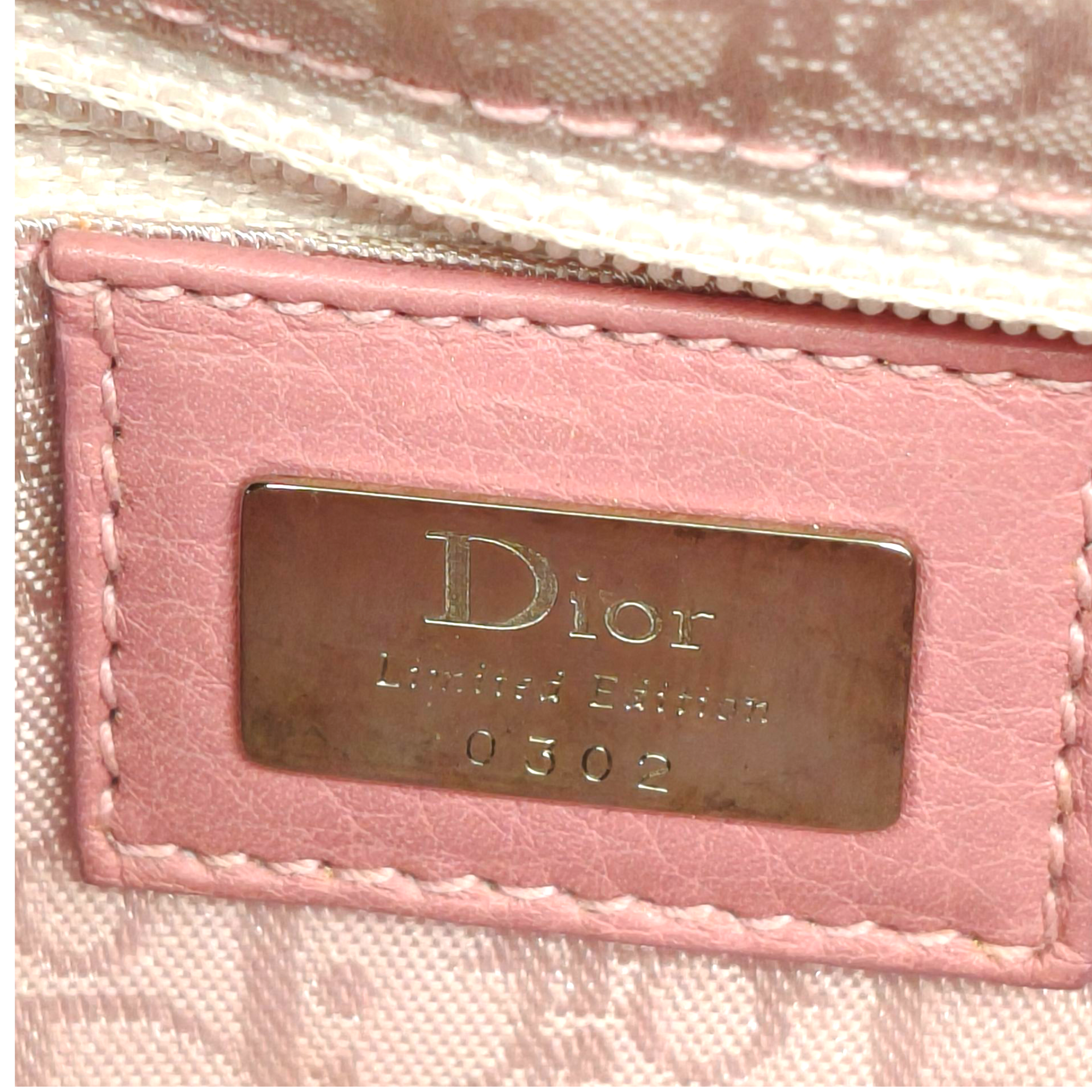 Dior Pink Leather Small Limited Edition Butterfly Detective Satchel Bag