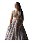 Amit Aggarwal Metallic Winged Lehenga Model- AAIC-775
