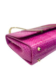 Jimmy Choo Snakeskin Shoulder Bag