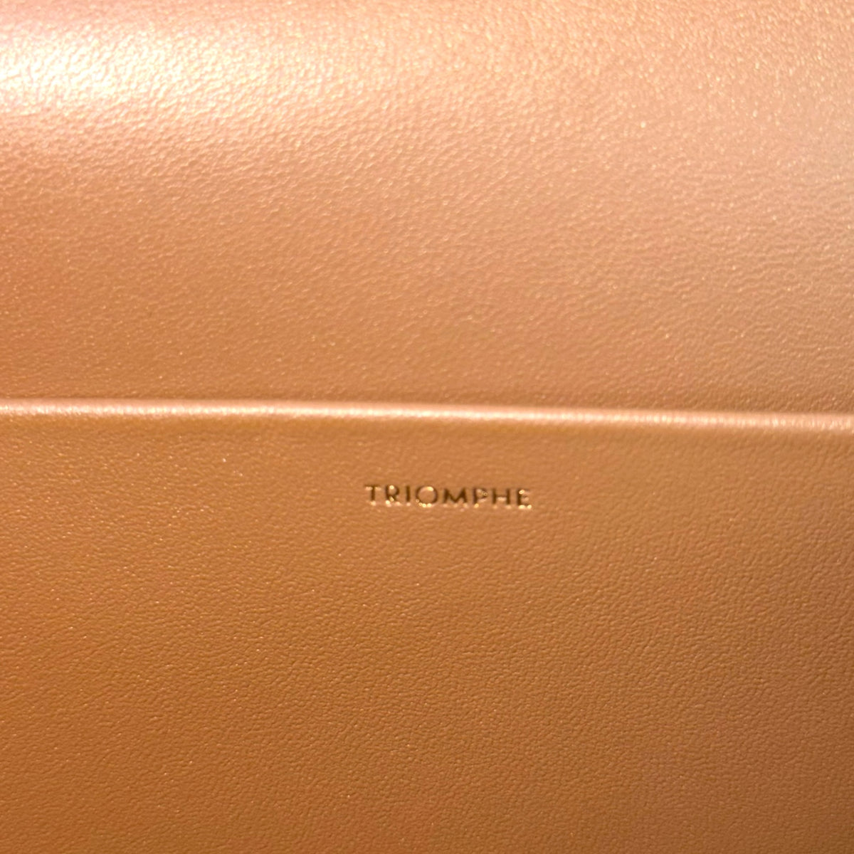 Celine Classique medium Tan calf skin leather Triomphe crossbody Bag
