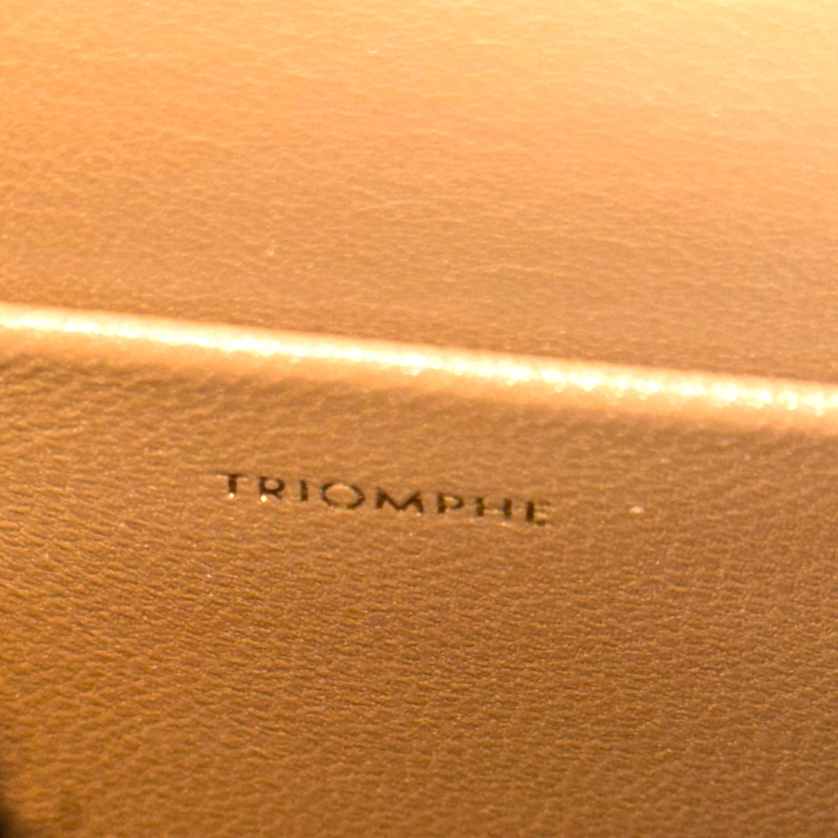 Celine teen tan leather Triomphe crossbody Bag