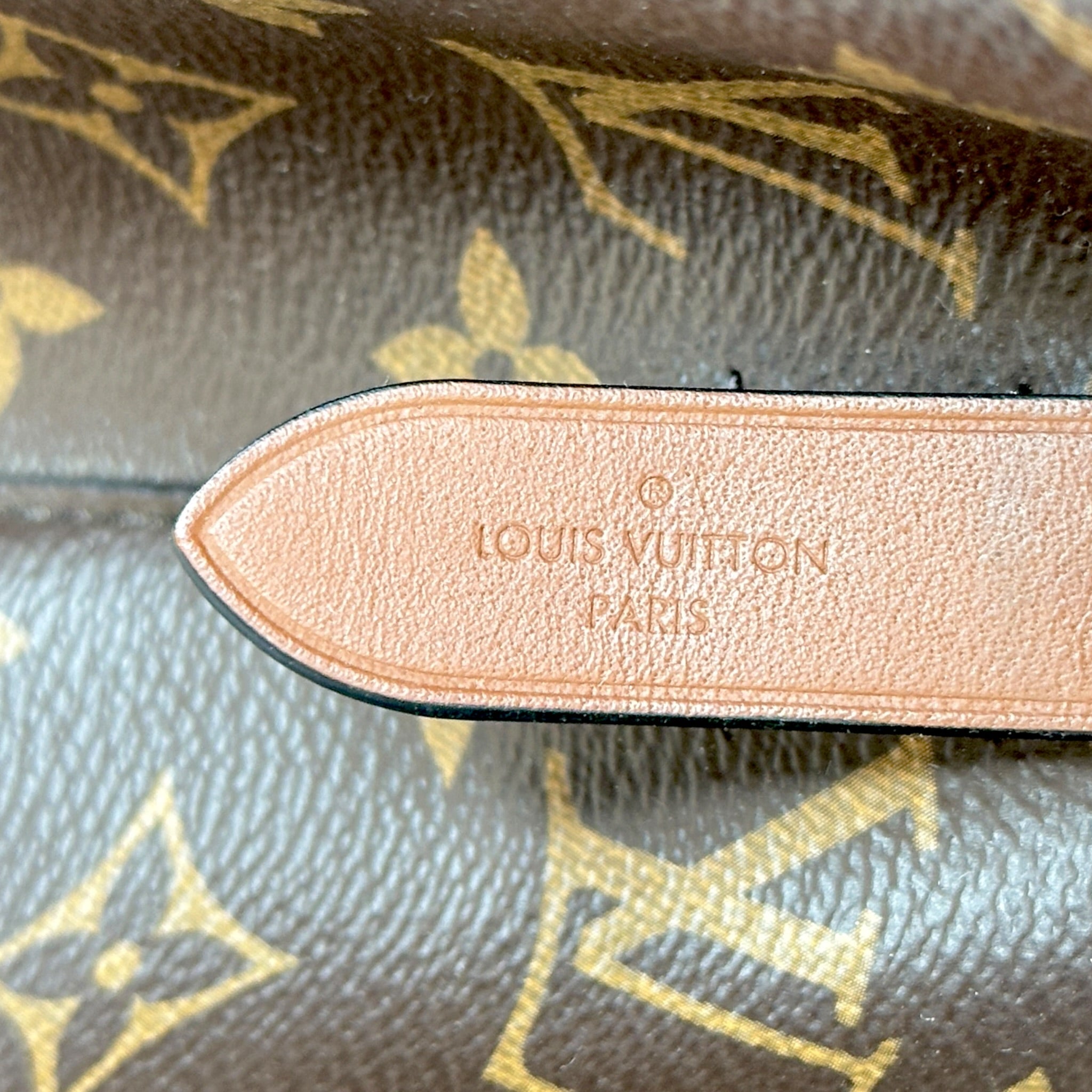 Louis Vuitton Noe Noe MM Monogram Leather Bag