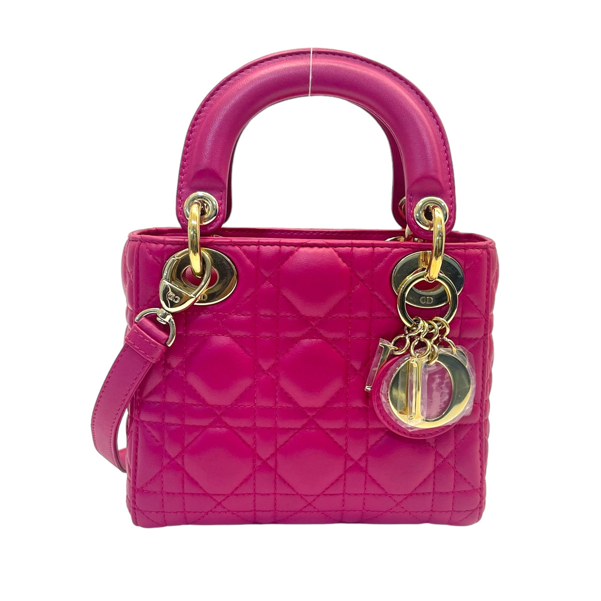 ladydior mini