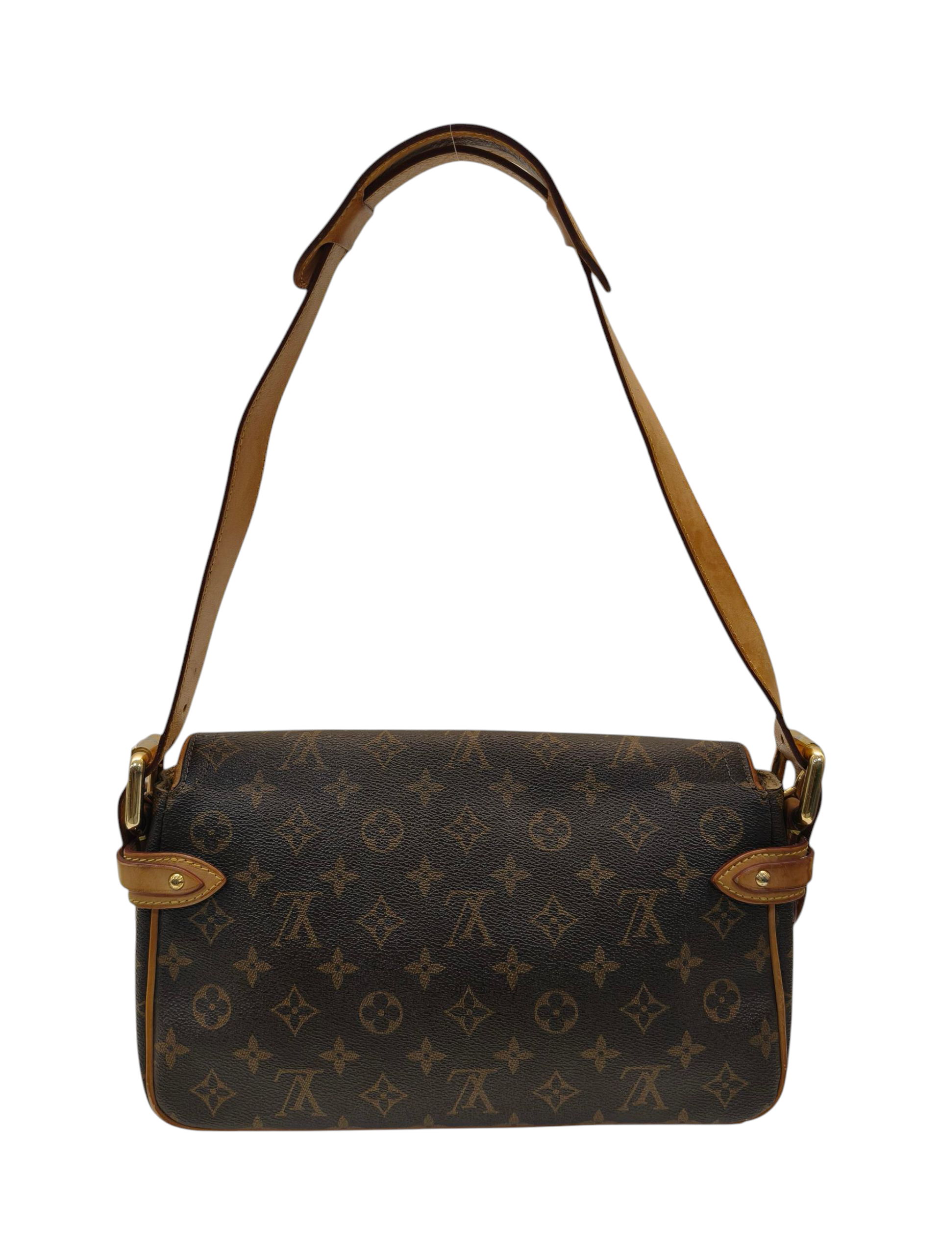 Louis Vuitton Monogram Canvas Hudson PM Bag