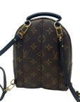 Louis Vuitton Monogram Canvas Mini Palm Springs Backpack