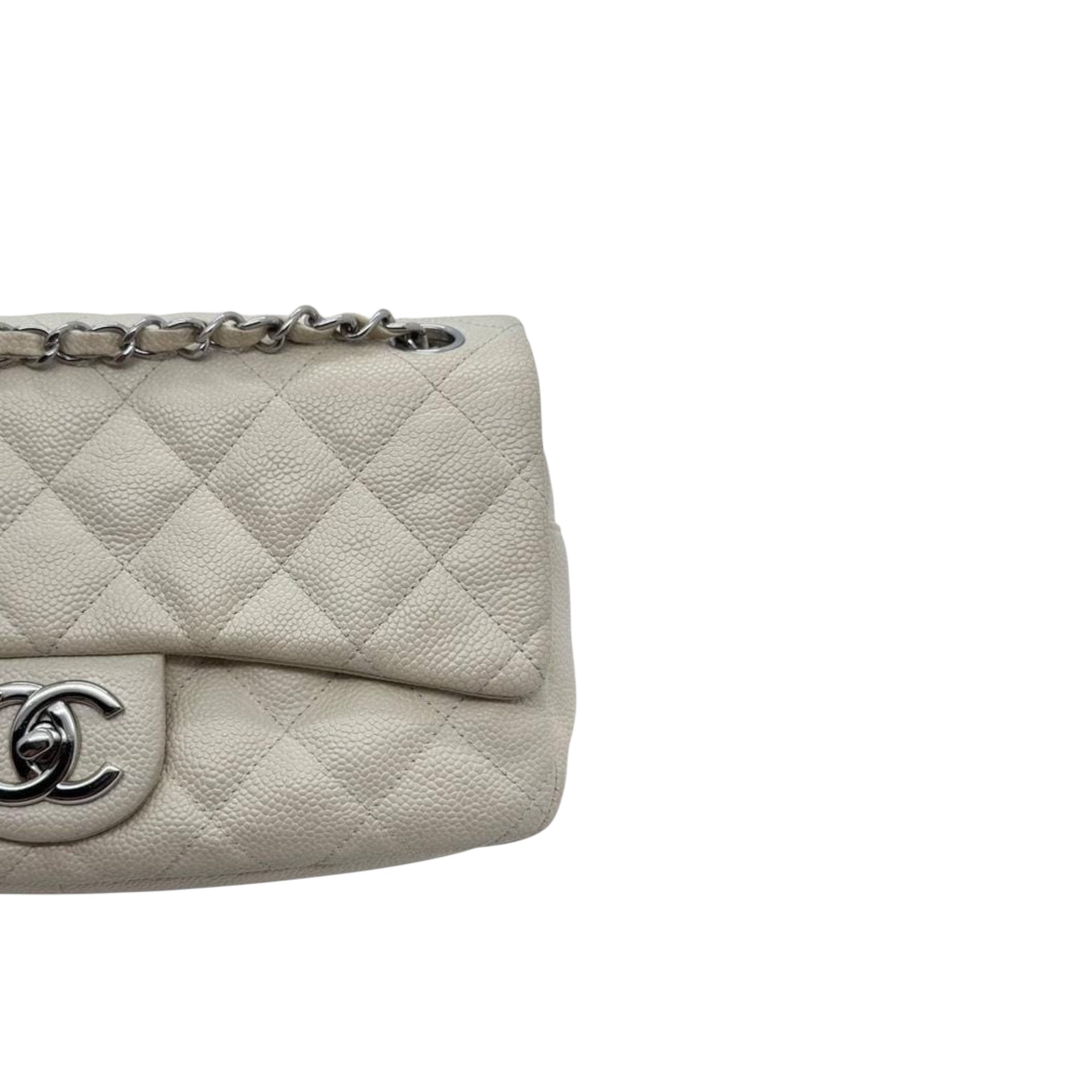Chanel Medium Now & Forever Flap Bag