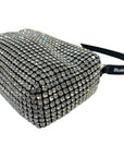 Alexander Wang Heiress Pouch In Crystal Mesh Medium