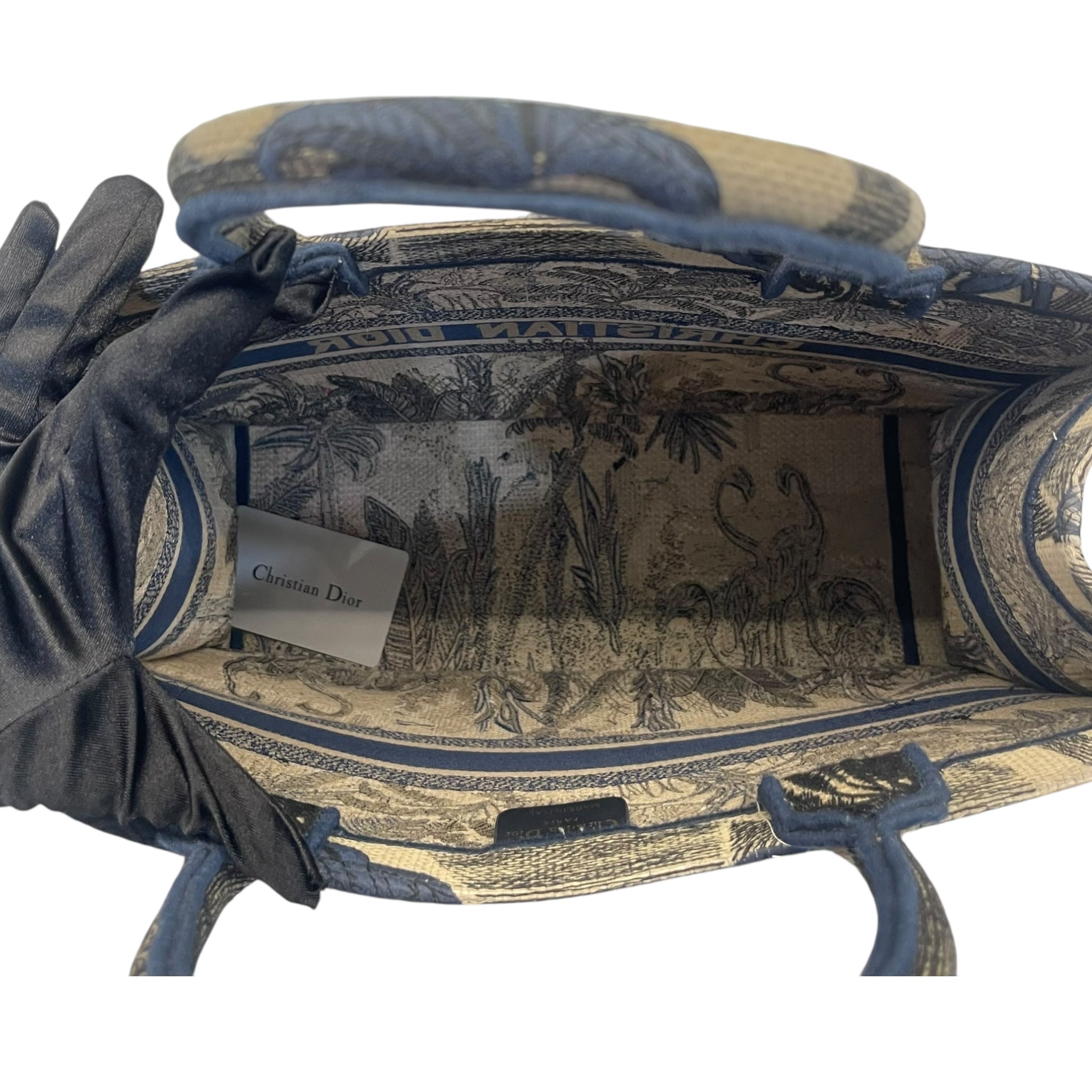 Christian Dior Book Tote Bag