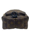 Louis Vuitton Monogram Canvas Mini Palm Springs Backpack