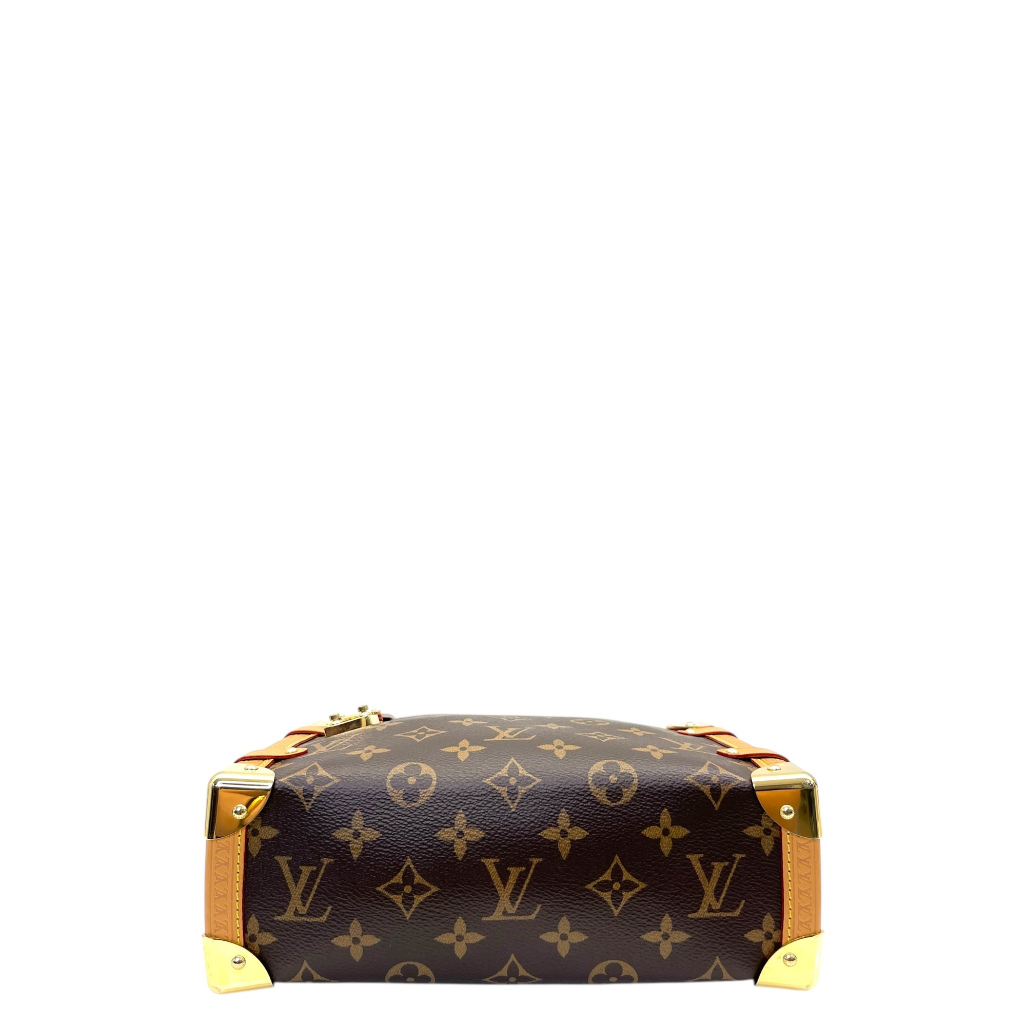 Louis Vuitton Monogram Side Trunk Handbag