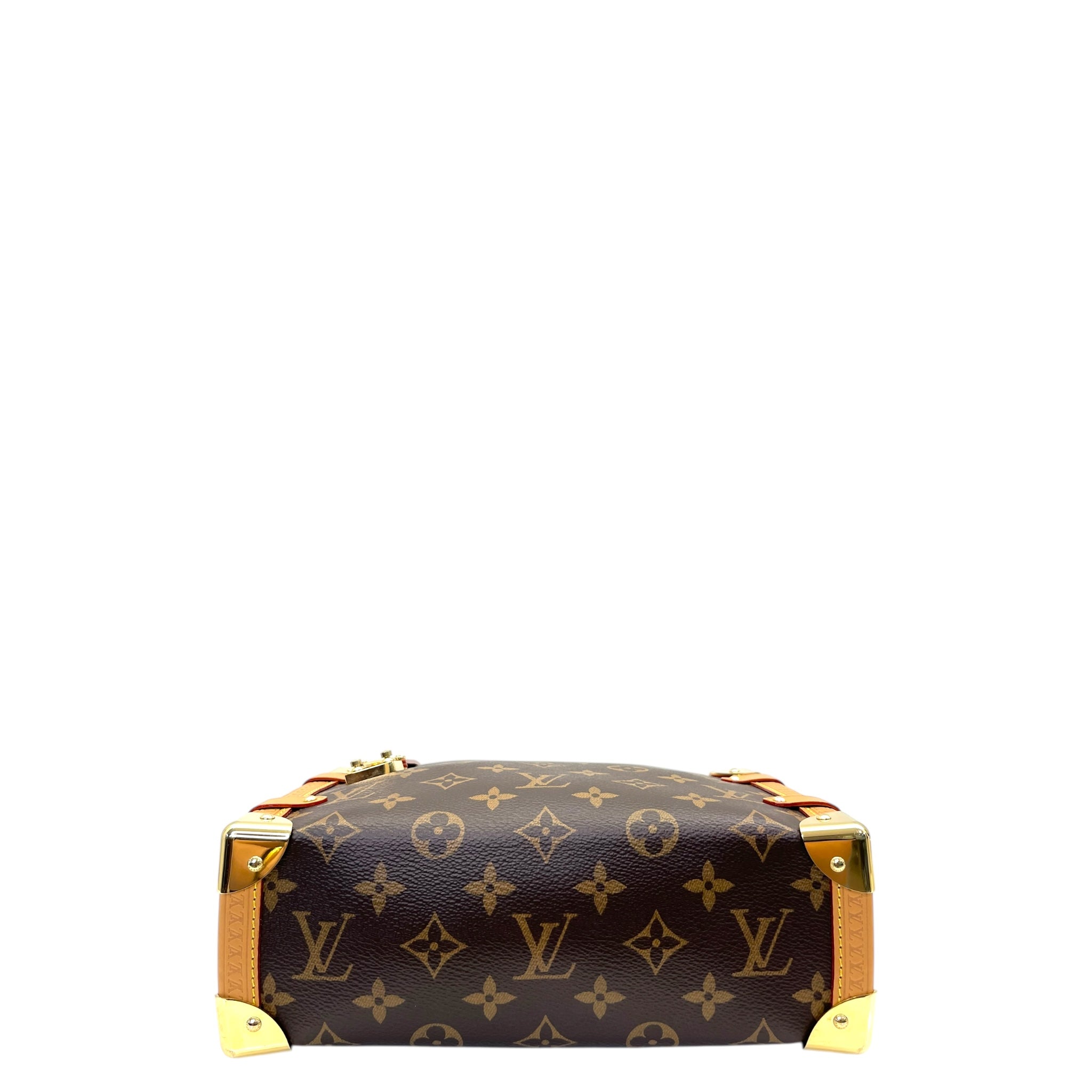 Louis Vuitton Monogram Side Trunk Handbag