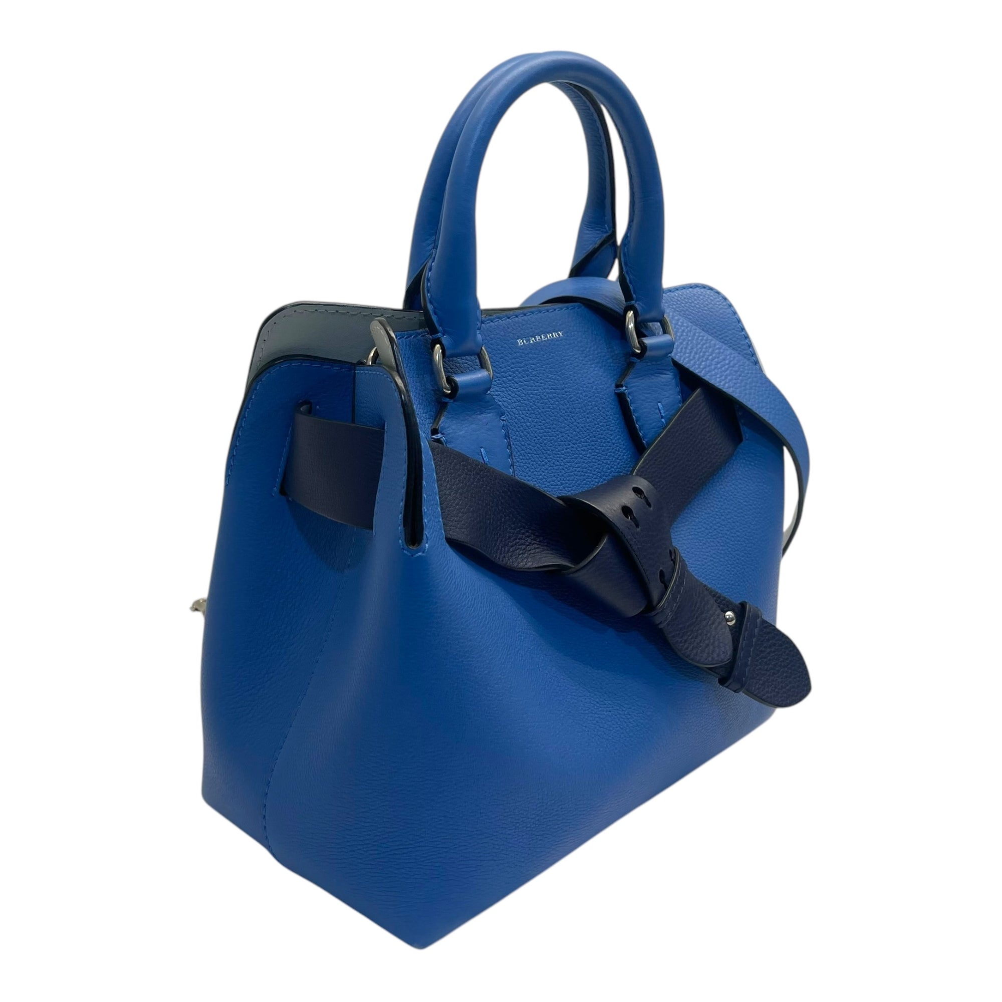 Burberry Hydrangea Blue Leather Small Belt Bag