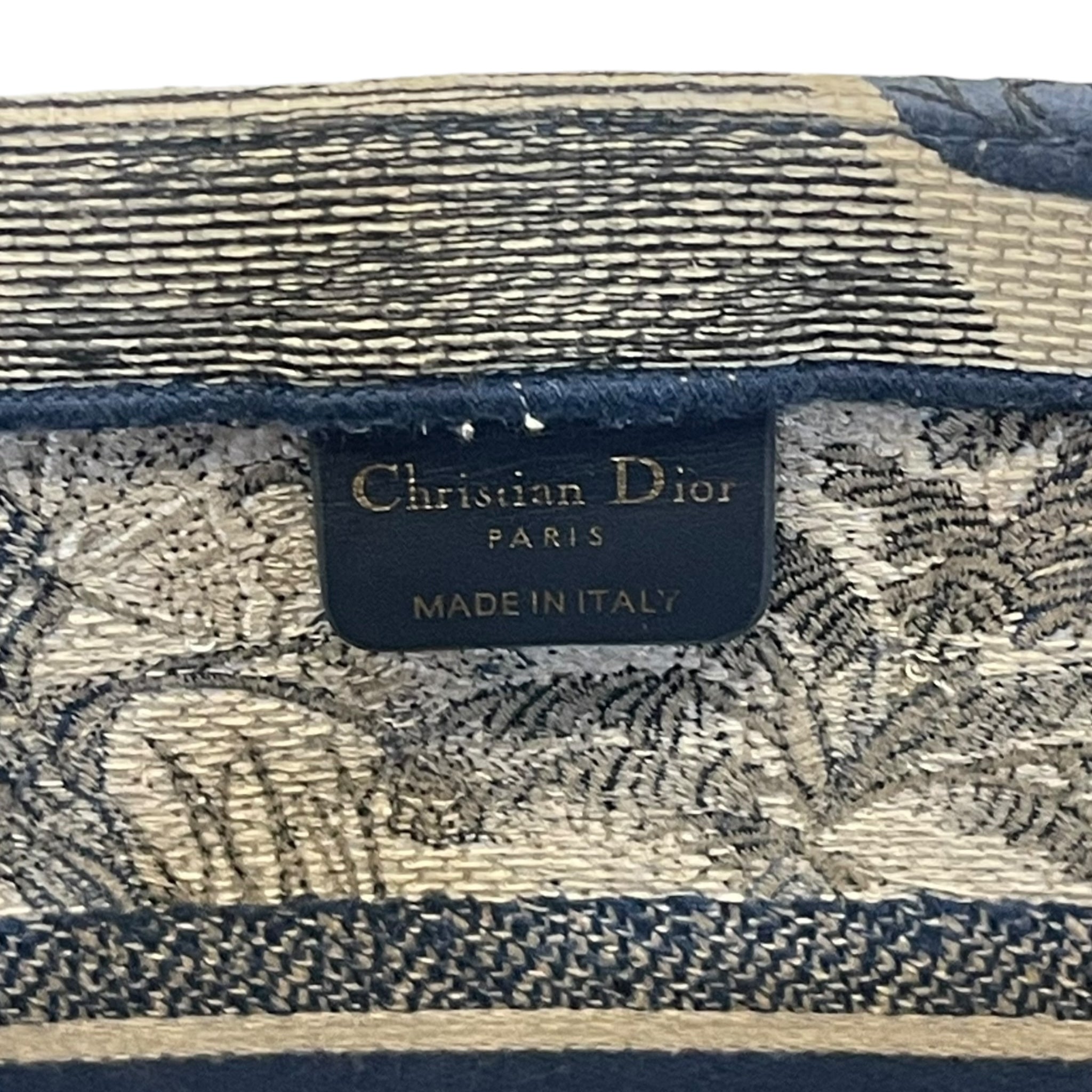 Christian Dior Book Tote Bag