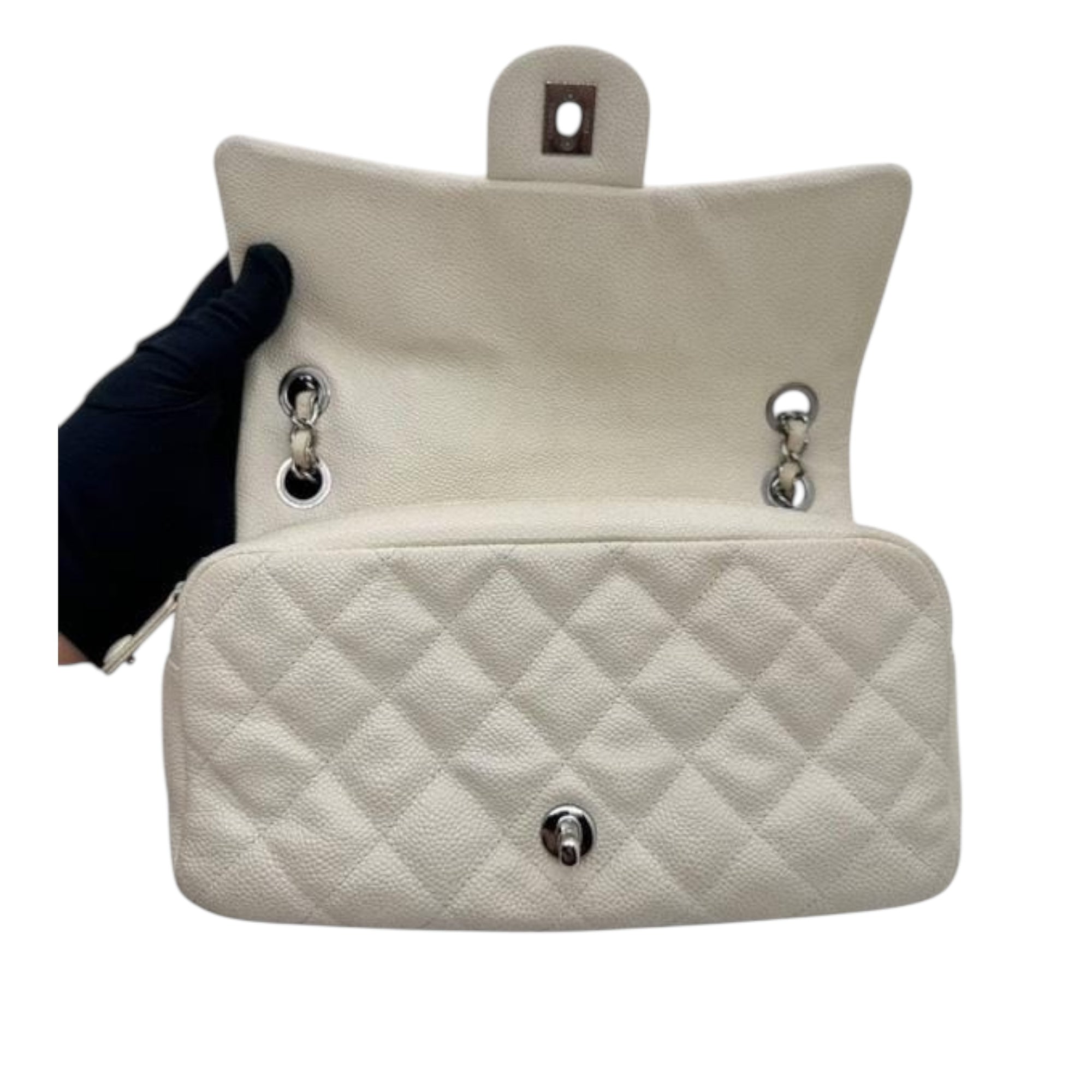 Chanel Medium Now & Forever Flap Bag