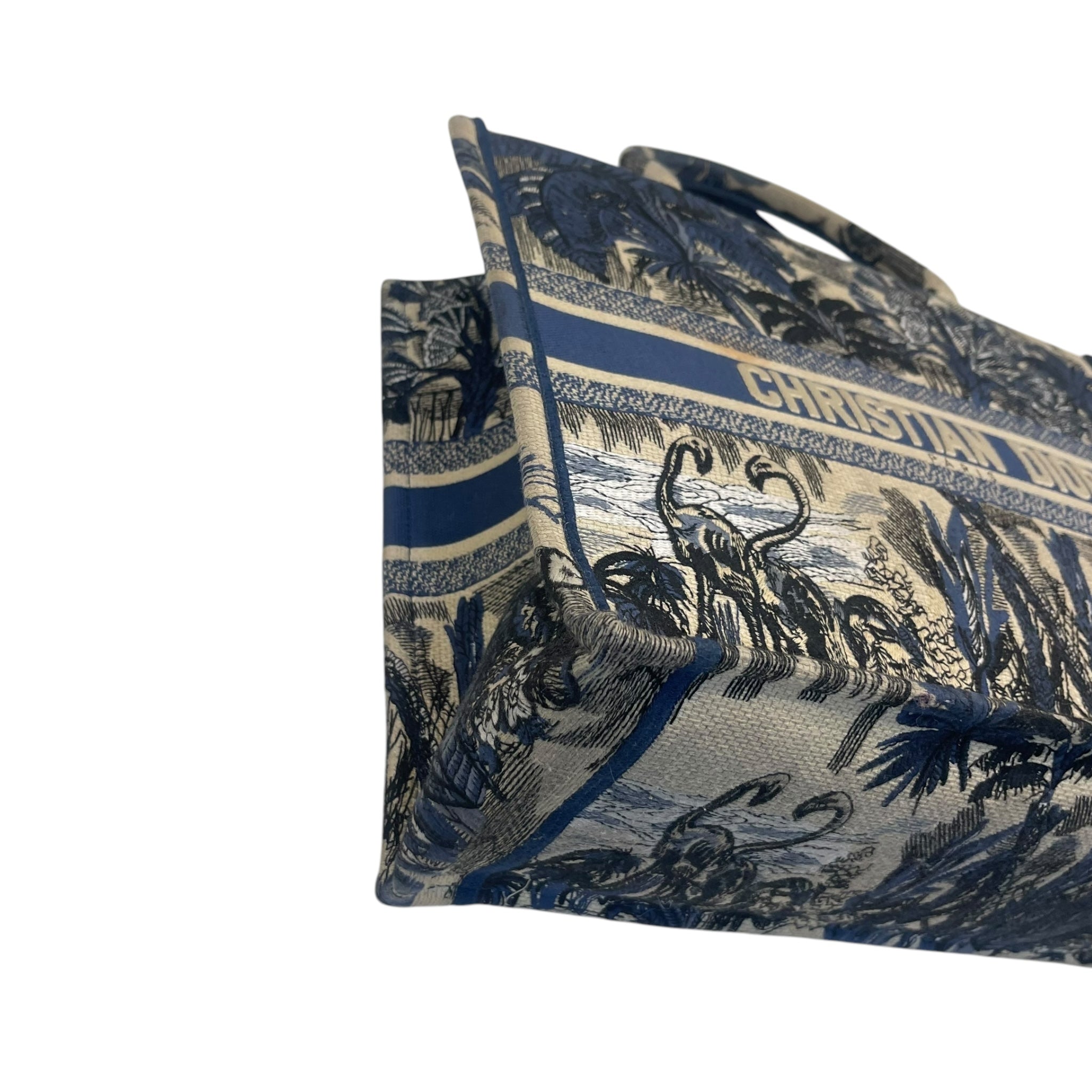 Christian Dior Book Tote Bag