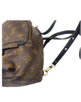Louis Vuitton Monogram Canvas Mini Palm Springs Backpack