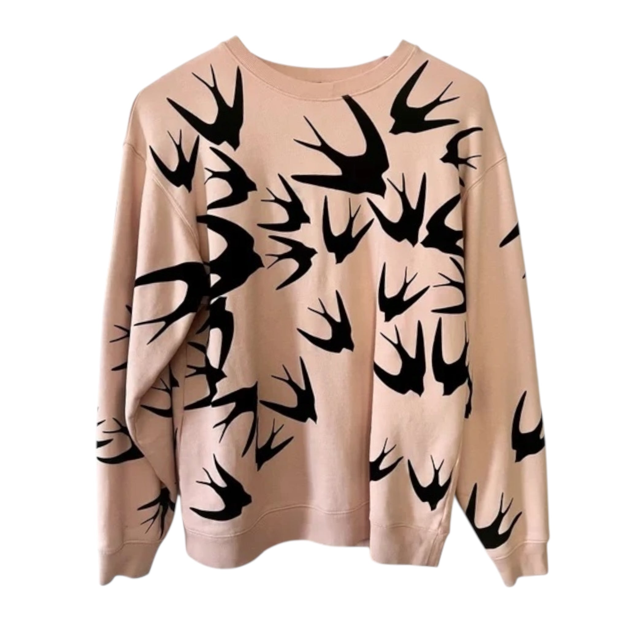 Alexander Mcqueen Printed Sweatshirt