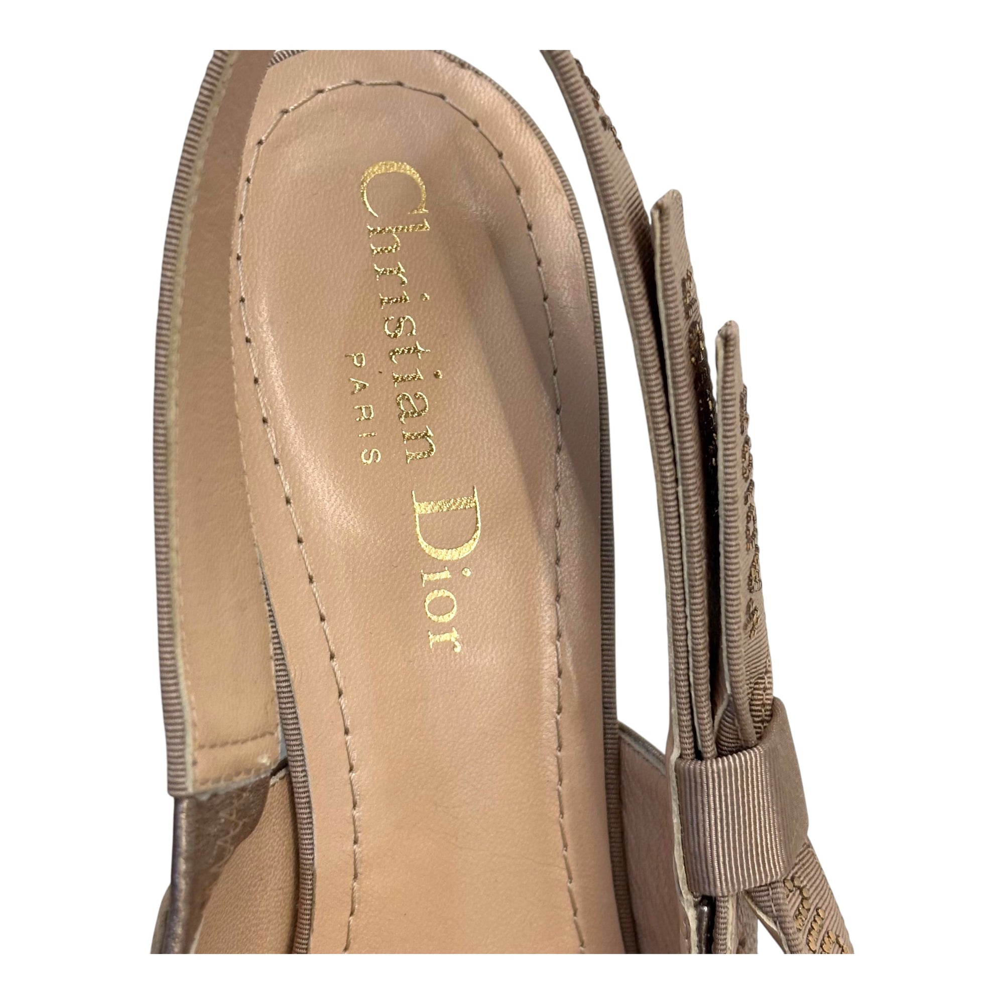 Dior Slingbacks Shimmer Strap EU37