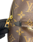 Louis Vuitton Monogram Canvas Mini Palm Springs Backpack