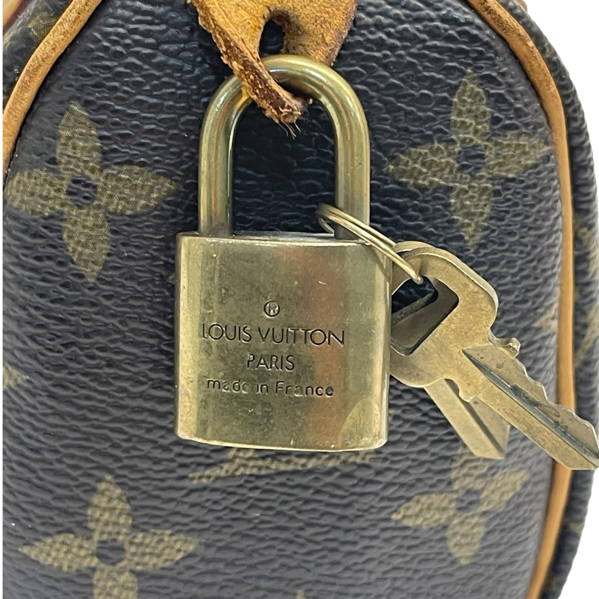 Louis Vuitton Monogram Canvas Nano Speedy Bandouliere Bag
