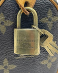 Louis Vuitton Monogram Canvas Nano Speedy Bandouliere Bag