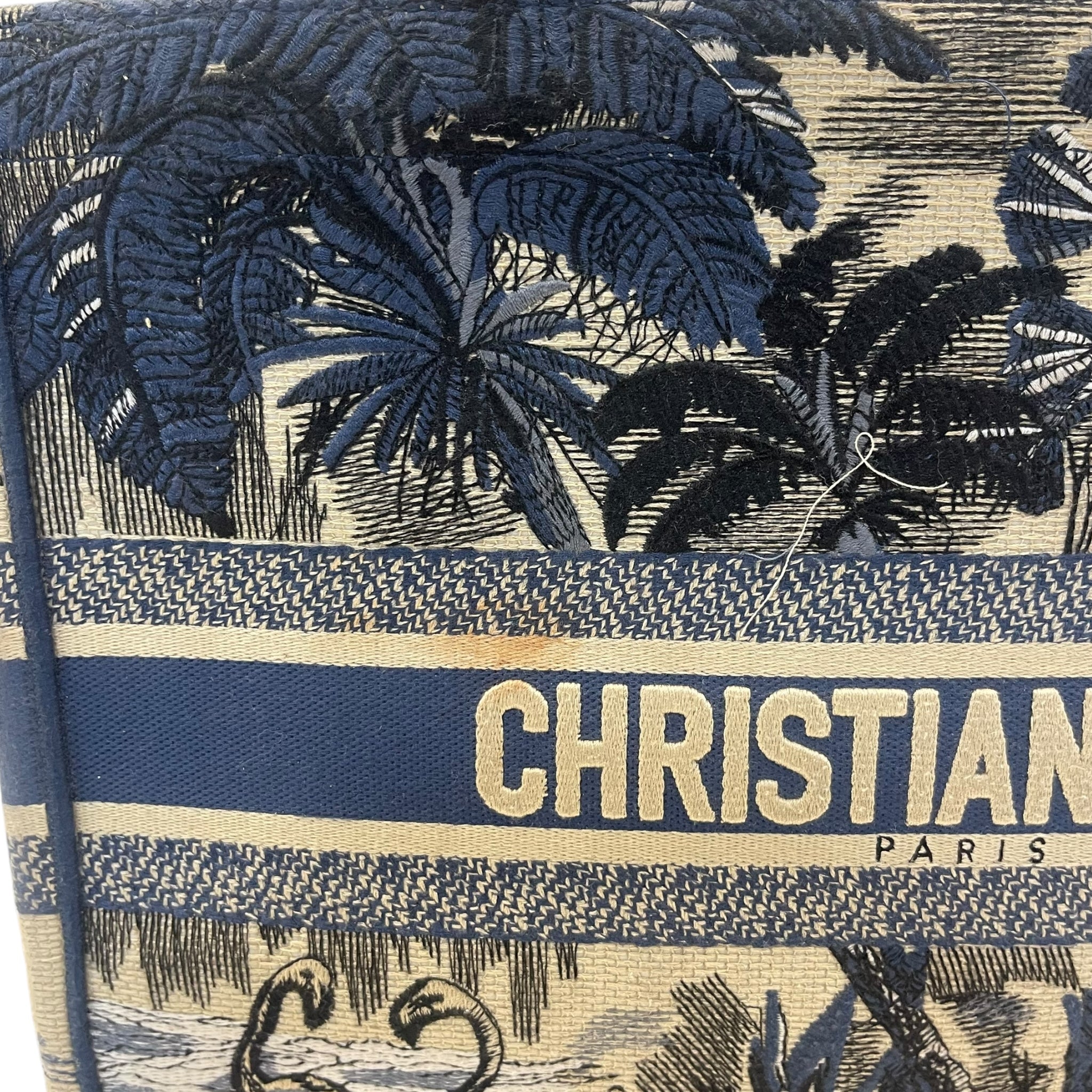 Christian Dior Book Tote Bag