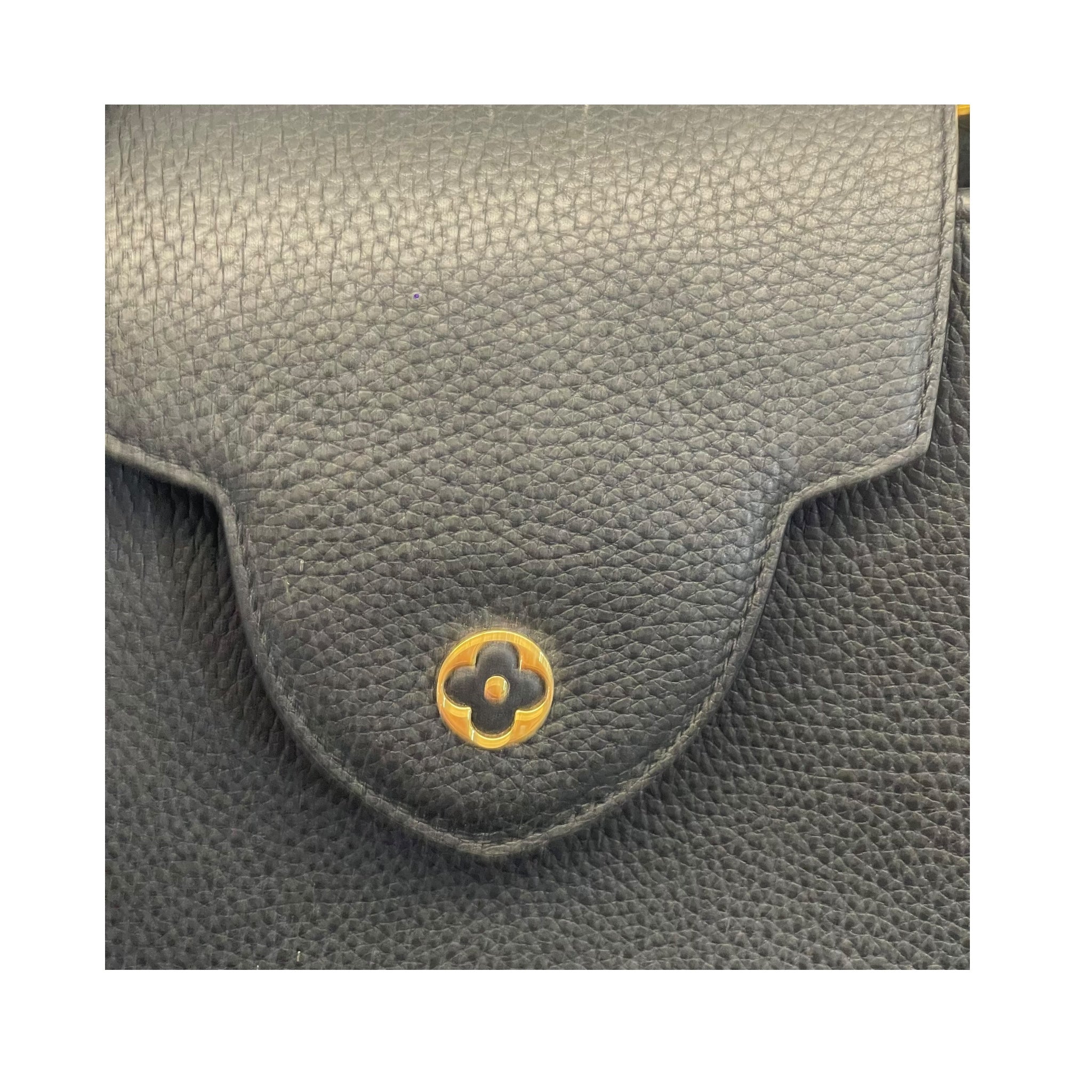 Louis Vuitton Capucines Bag
