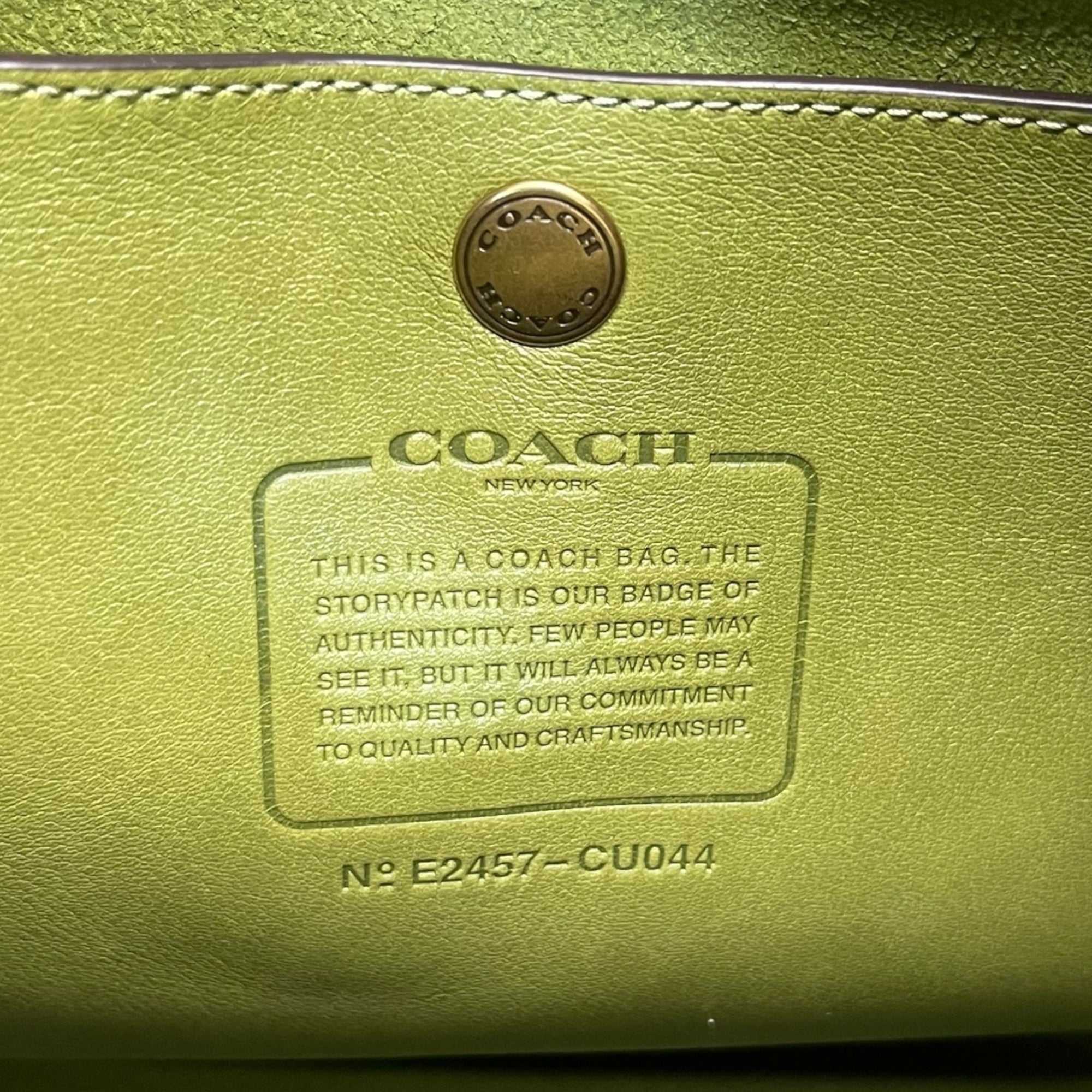 Coach Hobo Bag