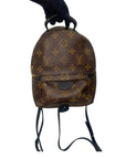Louis Vuitton Monogram Canvas Mini Palm Springs Backpack