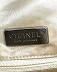 Chanel Metallic CC Hobo Bag