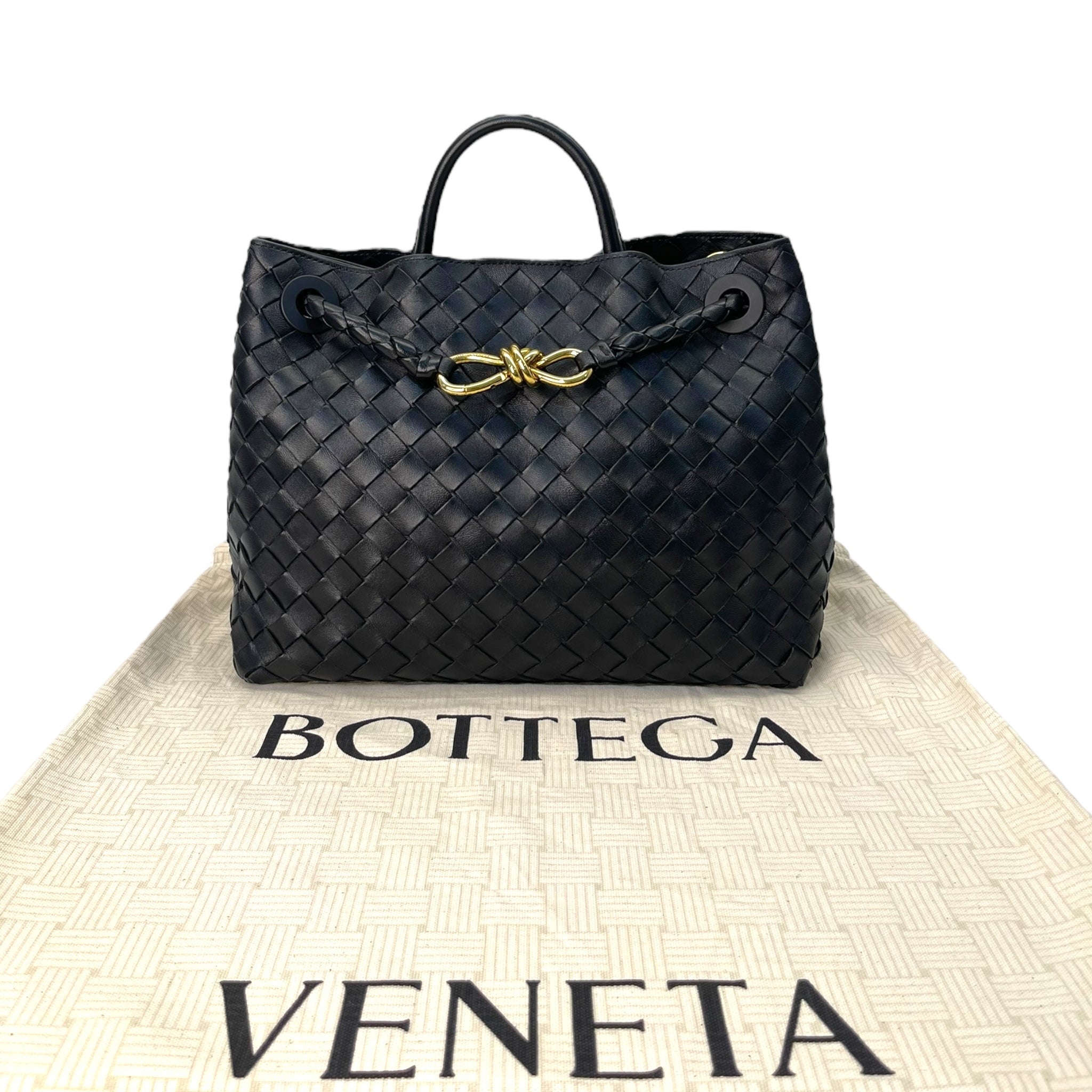Bottega Veneta Andiamo Medium Leather Bag