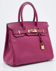Hermes Tosca Togo Leather Gold Hardware Birkin 30