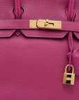 Hermes Tosca Togo Leather Gold Hardware Birkin 30