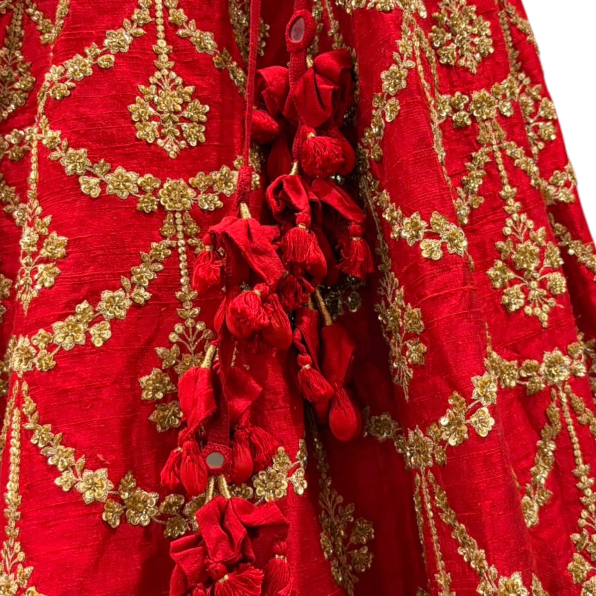 Sabyaschi Red Lehenga