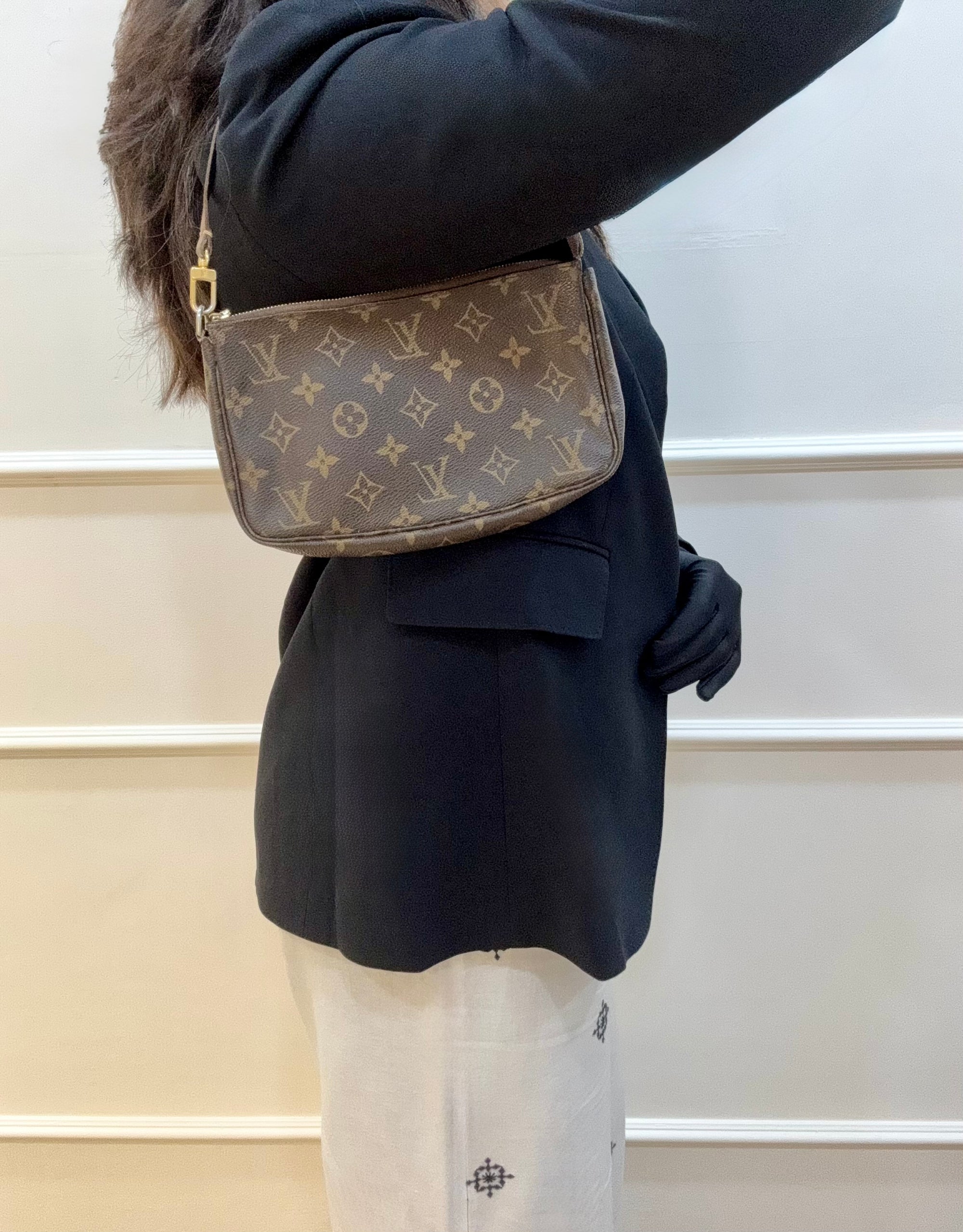 Louis Vuitton Monogram Canvas Pochette Accessoires