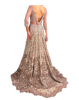 Dolly J Europa Pale Pink Shimmer Gown Set