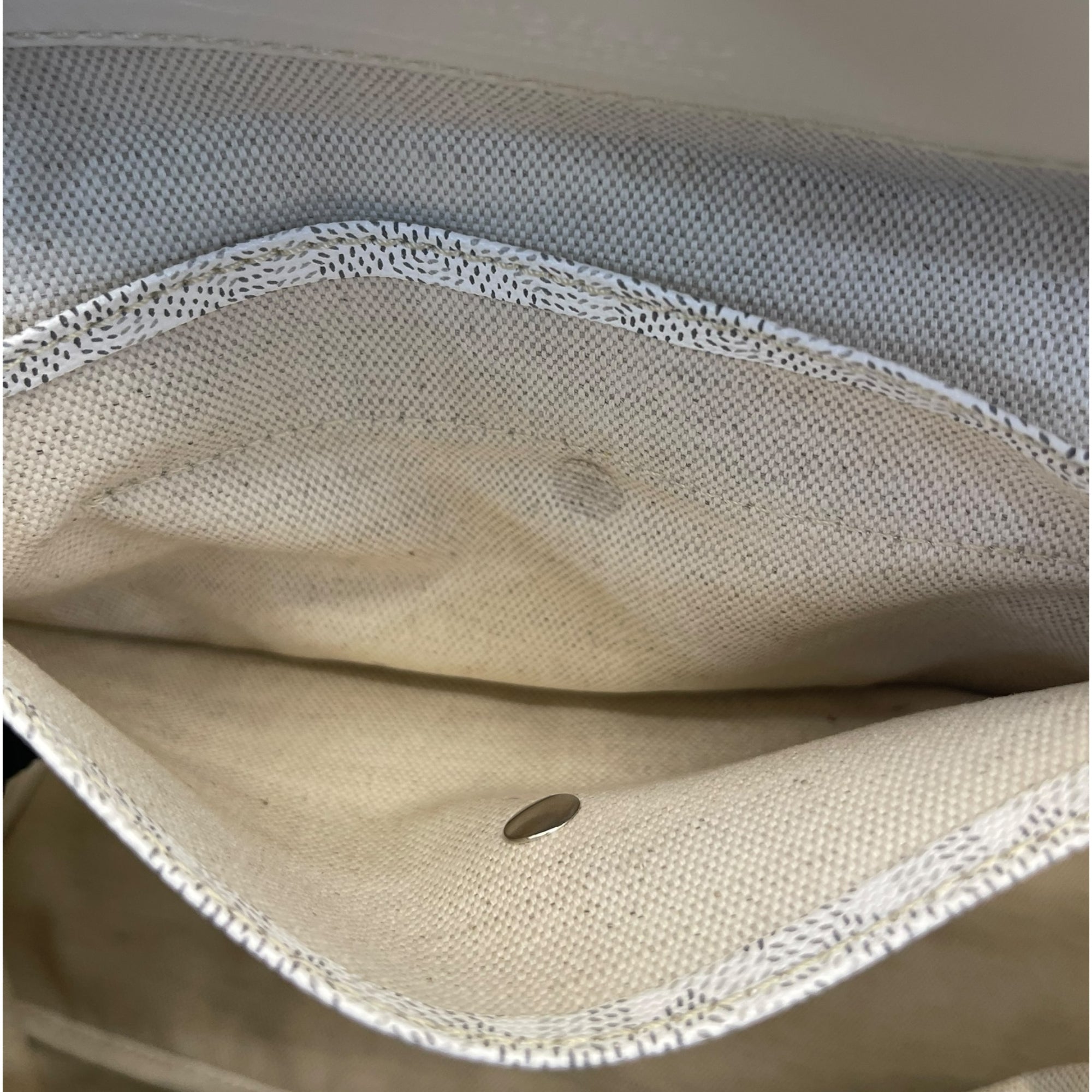 Goyard St Louis PM Grey Tote Bag