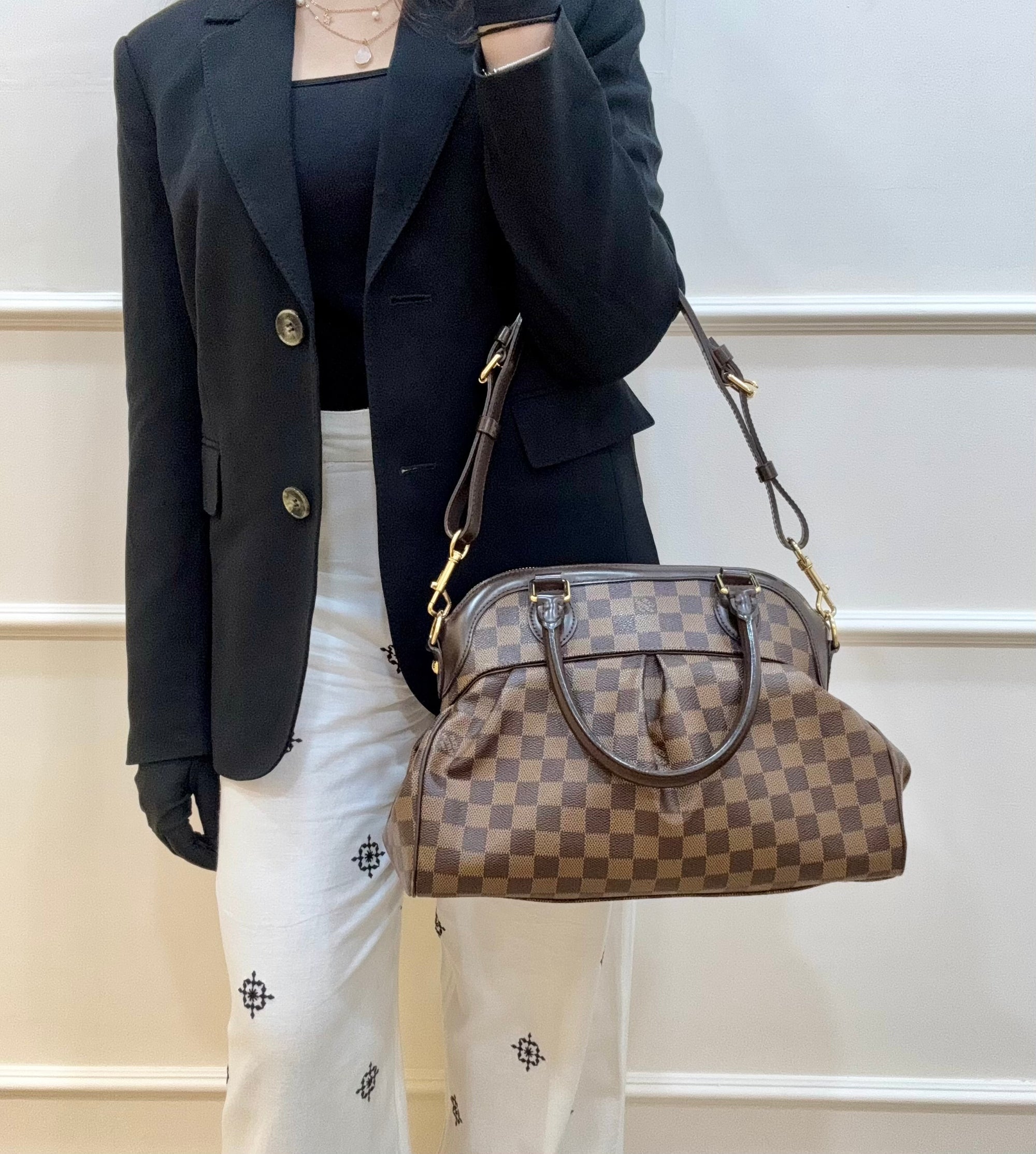 Louis Vuitton Damier Ebene Canvas Trevi PM Bag