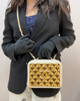 Chanel Vanity Case Golden Plate Satchel