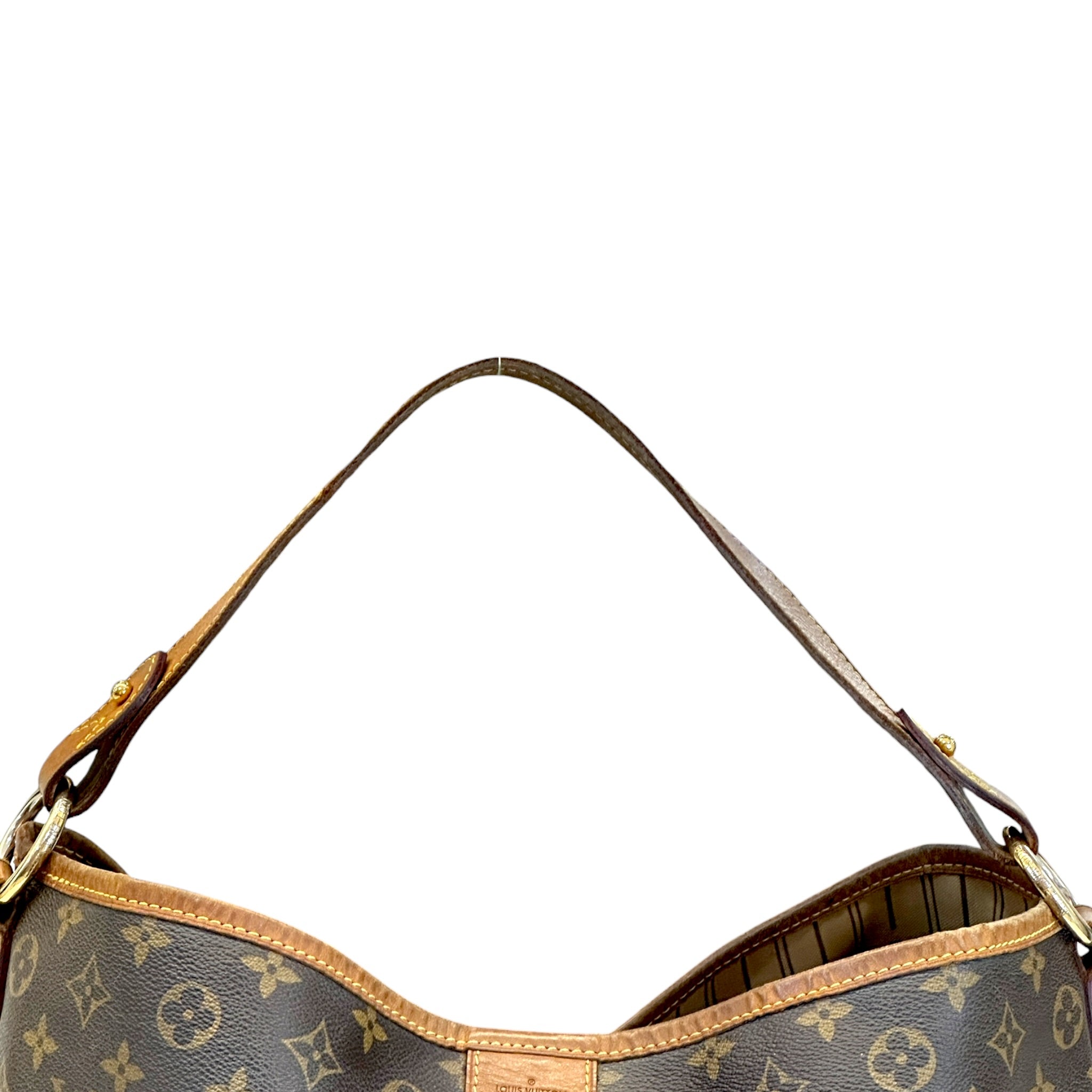 Louis Vuitton Delightful GM Monogram Canvas