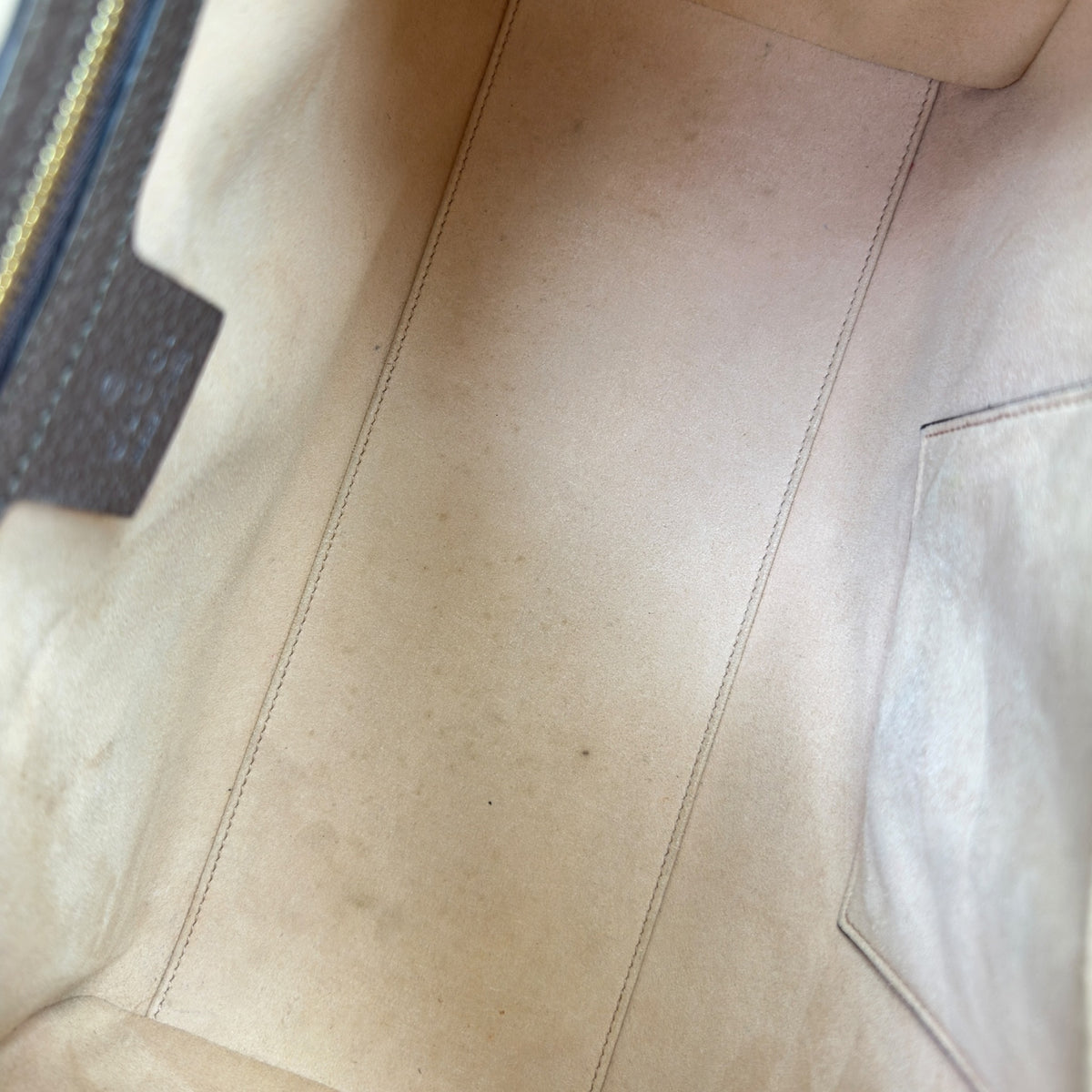 Gucci Ophidia Supreme Medium Canva Tote